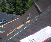 Shingle Roofing